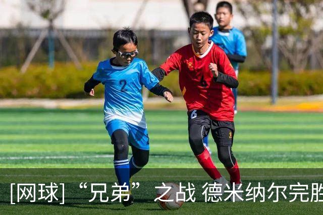 [网球]“兄弟”之战 德米纳尔完胜休伊特